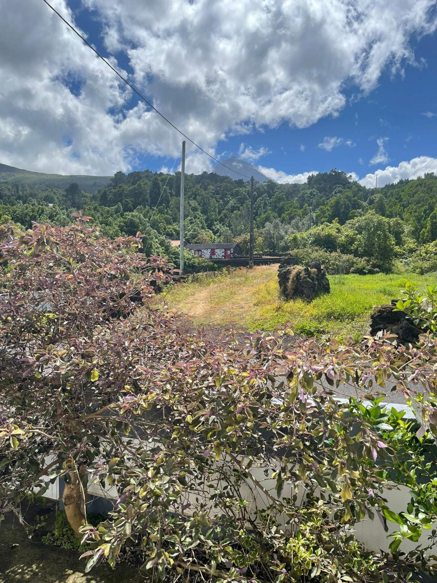 Residencias Requinte São Roque do Pico Екстериор снимка